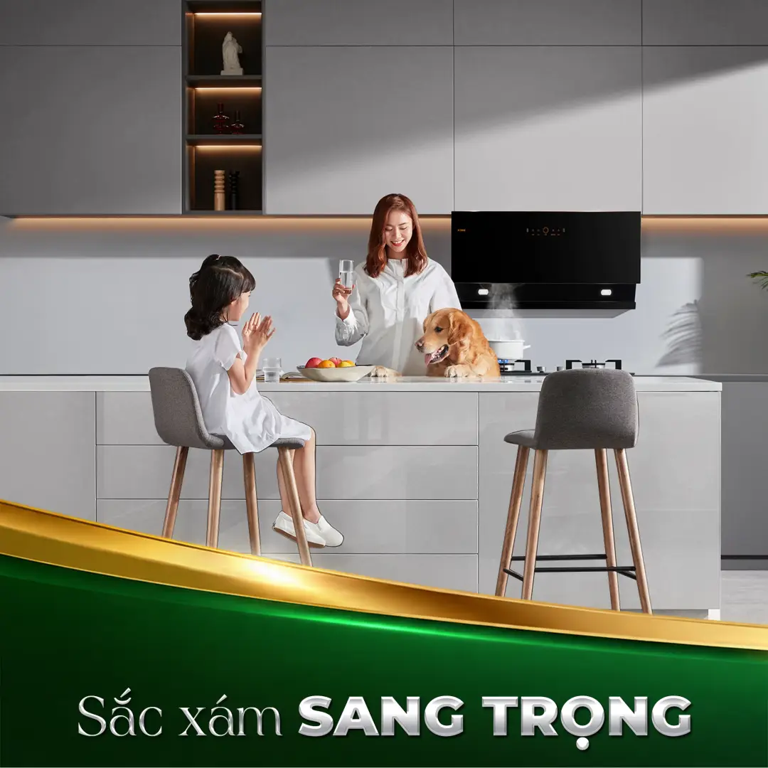 V10 - Ứng dụng thực tế